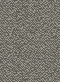 Cole & Son Carta da parati Vermicelli - Black/ Linen