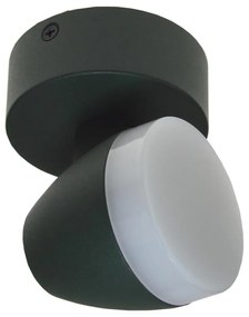 Plafoniera LED SURMUR LED/6W/230V verde