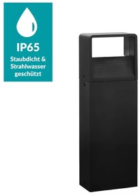 Eglo 98271 - Lampada LED da esterno DONINNI LED/6W/230V IP44