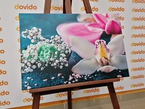 Stampa su tela – Splendida orchidea dettagliata