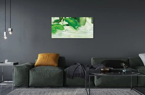 Quadro in vetro Gocce di foglie acqua 100x50 cm