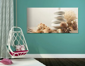 Quadro su tela – Pietre Zen con conchiglie