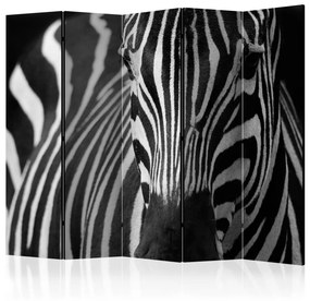 Paravento design Bianco a Strisce Nere II (5 parti) - zebra in inquadratura insolita