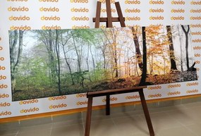 Stampa su tela – Quattro stagioni