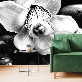 Carta da parati – Orchidea esotica bianco e nero