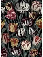 Mindthegap Carta da parati Tulipa - WP20177