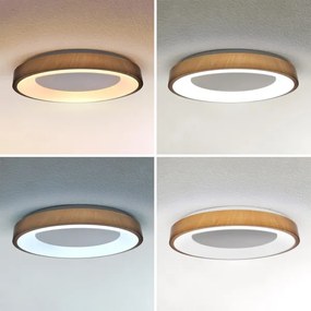 Brilagi - Plafoniera LED dimmerabile DORIA LED/60W/230V 3000-6500K diam. 60 cm + telecomando