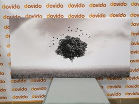 Stampa su tela – Albero solitario nel prato in bianco e nero