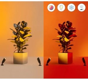 WiZ - LED RGBW Faretto da esterno dimmerabile SPOT LED/4W/12V IP65 Wi-Fi