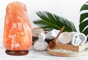 Lampada al sale SALLY 1xE14/25W/230V