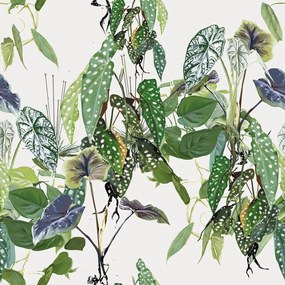 Carta da parati – Foglie tropicali abbondanti