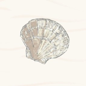 Tenda per doccia 120x200 cm Atlantis – Spirella