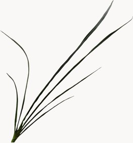 Set di 2 fiori artificiali Cymbidium