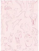 Coordonne Carta da parati Zoology - Candy