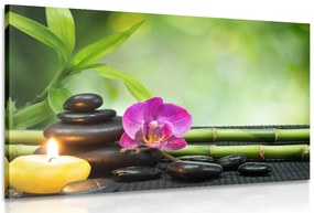 Quadro su tela – Armonia Feng Shui
