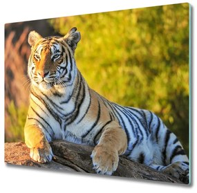Tagliere in vetro Ritratto di una tigre 60x52 cm