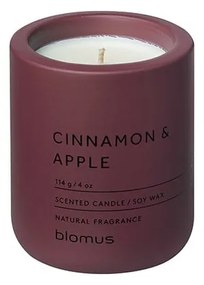 Candela di soia profumata tempo di combustione 24 ore Fraga: Cinnamon &amp; Apple - Blomus