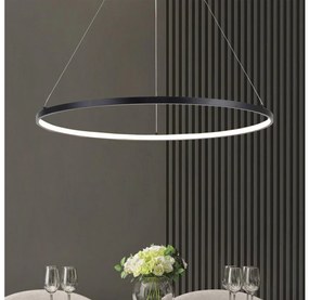 Zuma Line PEN89424-90BK - Lampadario a sospensione LED su cavo HORIK LED/40W/230V 3000/4000/6000K