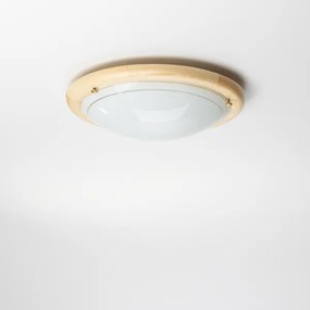 Rabalux 5411 - Plafoniera UFO 1xE27/60W/230V