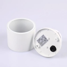 Globo 32063W - Plafoniera da esterno ALCALA 1xGX53/11W/230V IP44