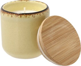 Candela profumata tempo di combustione 30 h Iris Cucumber Blossom – Villa Collection