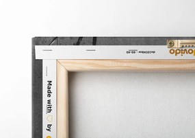Stampa su tela – Papaveri in stile etnico in bianco e nero