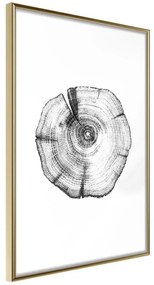 Poster  Tree Rings  Cornice Quadri Cornice d'oro, Larghezza x Altezza Home decor 30x45