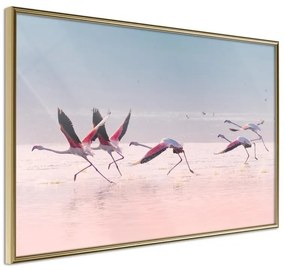 Poster  Flamingos Breaking into a Flight  Cornice Quadri Cornice d'oro, Larghezza x Altezza Home decor 90x60