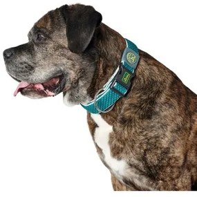 Collare per Cani Hunter Plus Filo turquoise Turchese Taglia XL (45-70 cm)