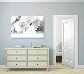 Quadro su tela – Angioletto