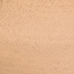 Atmosphera - Lampada da tavolo SEIYA 1xE27/60W/230V marrone/beige