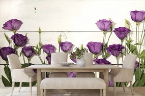 Carta da parati – Splendidi fiori viola