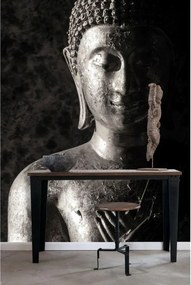 Fotomurale ESTA Statua, nero 186X280 cm