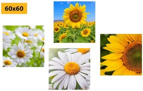 Set di quadri – Splendidi fiori nel prato