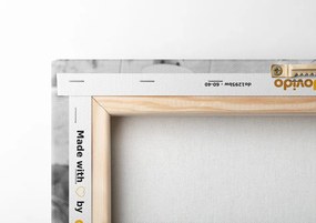 Quadro su tela – Stile romantico vintage in bianco e nero