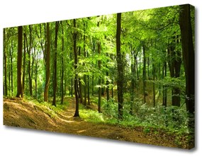 Stampa quadro su tela Foresta del percorso della natura 100x50 cm