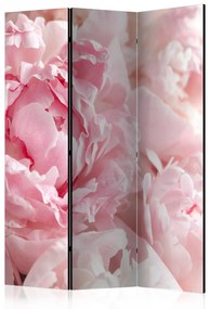 Paravento Peonie dolci - petali rosa su sfondo di luce luminosa