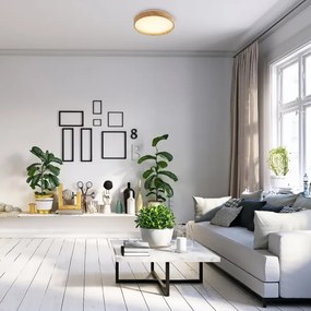 Rabalux 71143 - Plafoniera LED LEANA LED/12W/230V 3000K diametro 26 cm