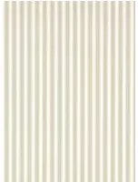 Sanderson Carta da parati New Tiger Stripe - Linen/ Calico