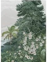 Isidore Leroy Carta da parati panoramica Firone Vert - Panel C