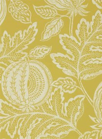 Sanderson Carta da parati Cantaloupe - Caraway