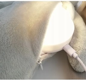 Moonie - Amico di coccole con una melodia e luce orso argento