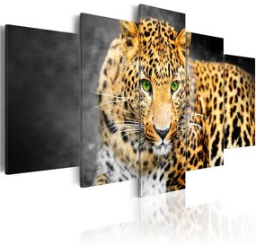 Quadro Leopardo con occhi verdi  Colore Grigio, Dimensioni e Misure 100x50