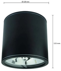 Applique da soffitto IP65 - Nera