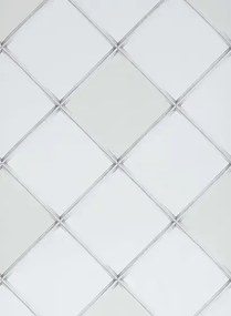 Tapete Palm House Trellis von Osborne & Little - Ivory
