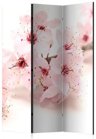 Paravento  Cherry Blossom [Room Dividers]  Colore Crema, Dimensioni e Misure 135x172