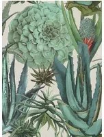Mindthegap Carta da parati Succulentus - WP20168