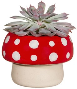 Coprivaso in gres ø 12 cm Mushroom - Sass &amp; Belle