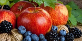 Stampa su tela – Raccolto autunnale