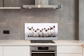 Pannello paraschizzi cucina Piccoli gatti 100x50 cm